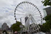 The Brisbane Wheel -South Bank